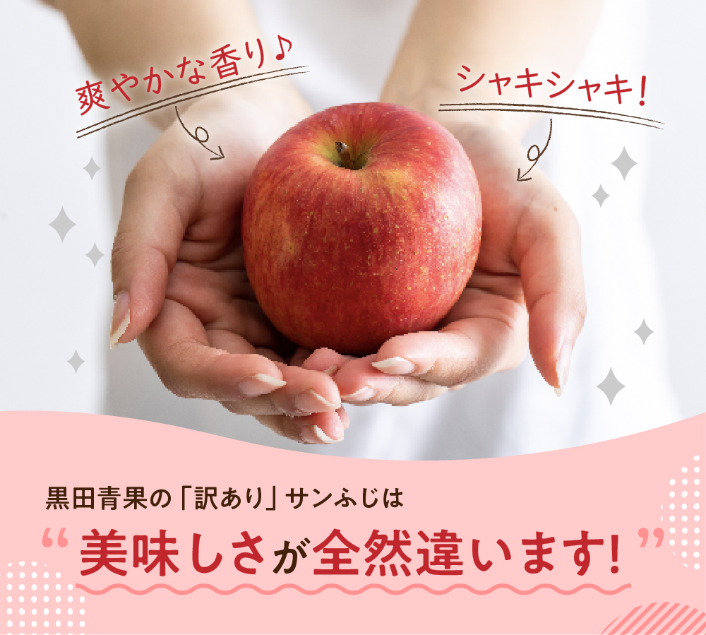 縲2026蟷エ12譛亥燕蜊顔匱騾√代j繧薙# 邏5kg 繧オ繝ウ縺オ縺 縲舌■繧縺」縺ィ險ウ縺ゅj縲 髱呈」ョ逵檎肇
