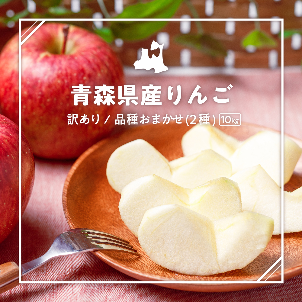 【2026年1月下旬発送】 【訳あり】 旬の美味しい りんご 約10kg 青森産 【おまかせ2品種】