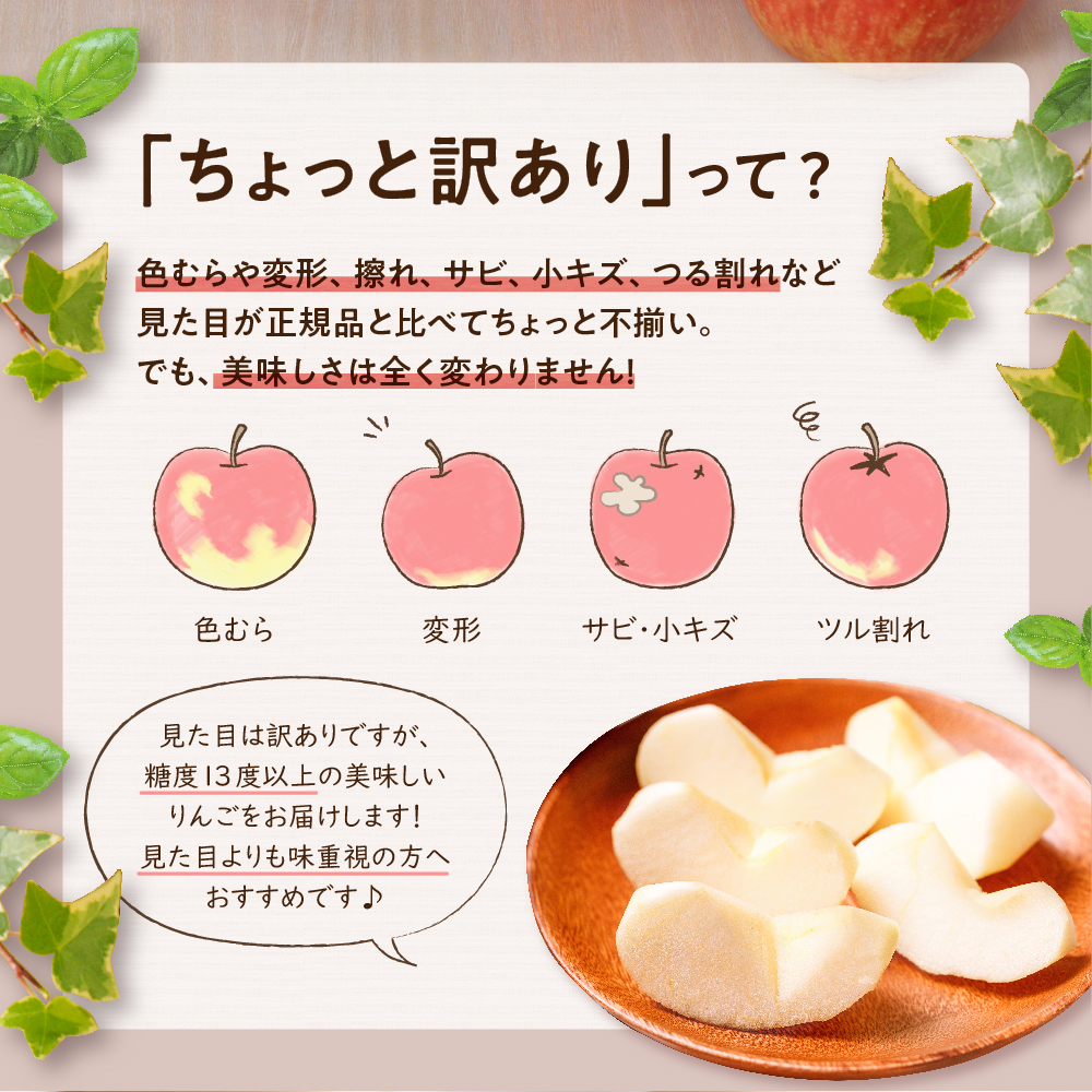 縲2026蟷エ12譛亥セ悟濠逋コ騾√ 繧翫s縺 邏10kg 繧オ繝ウ縺オ縺 縲舌■繧縺」縺ィ險ウ縺ゅj縲 髱呈」ョ逵檎肇