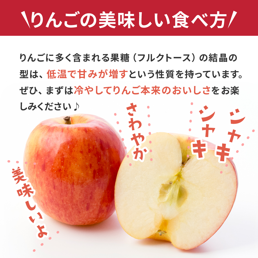 【2026年1月前半発送】 りんご 約5kg ≪丸福≫ サンふじ 【光センサー選果 糖度13度以上】 青森県産