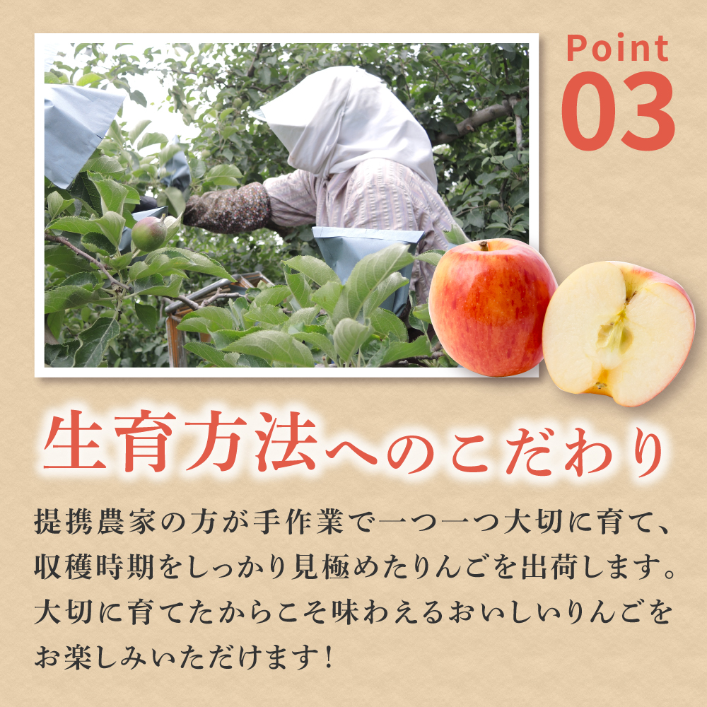 【2026年3月後半発送】 りんご 約3kg ≪丸福≫ サンふじ 【光センサー選果 糖度13度以上】 青森県産