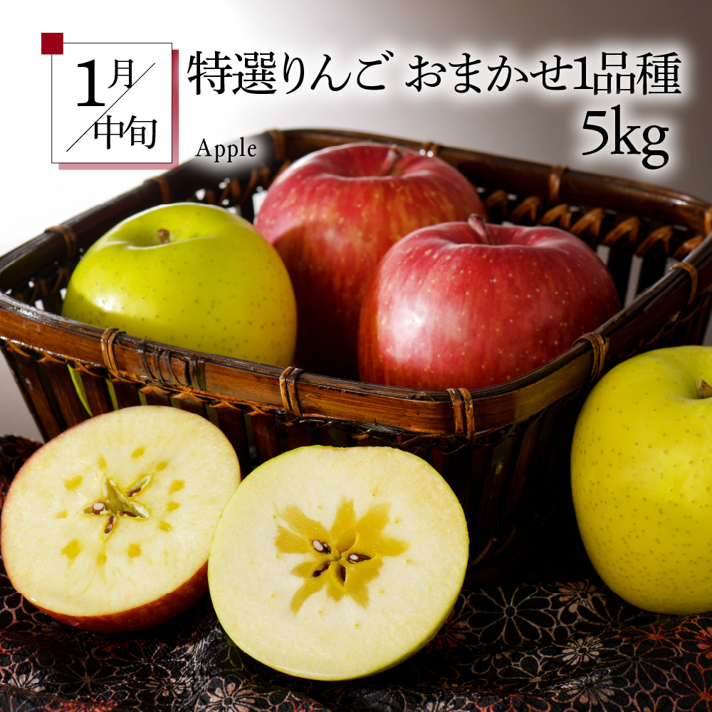 ã7æçºééå§ããã«ãŒãå®æäŸ¿ 5å é£ã¹ããã»ãããèš³ããå«ããã¡ãã³ ã¶ã©ã ãã¹ã«ãã ããã