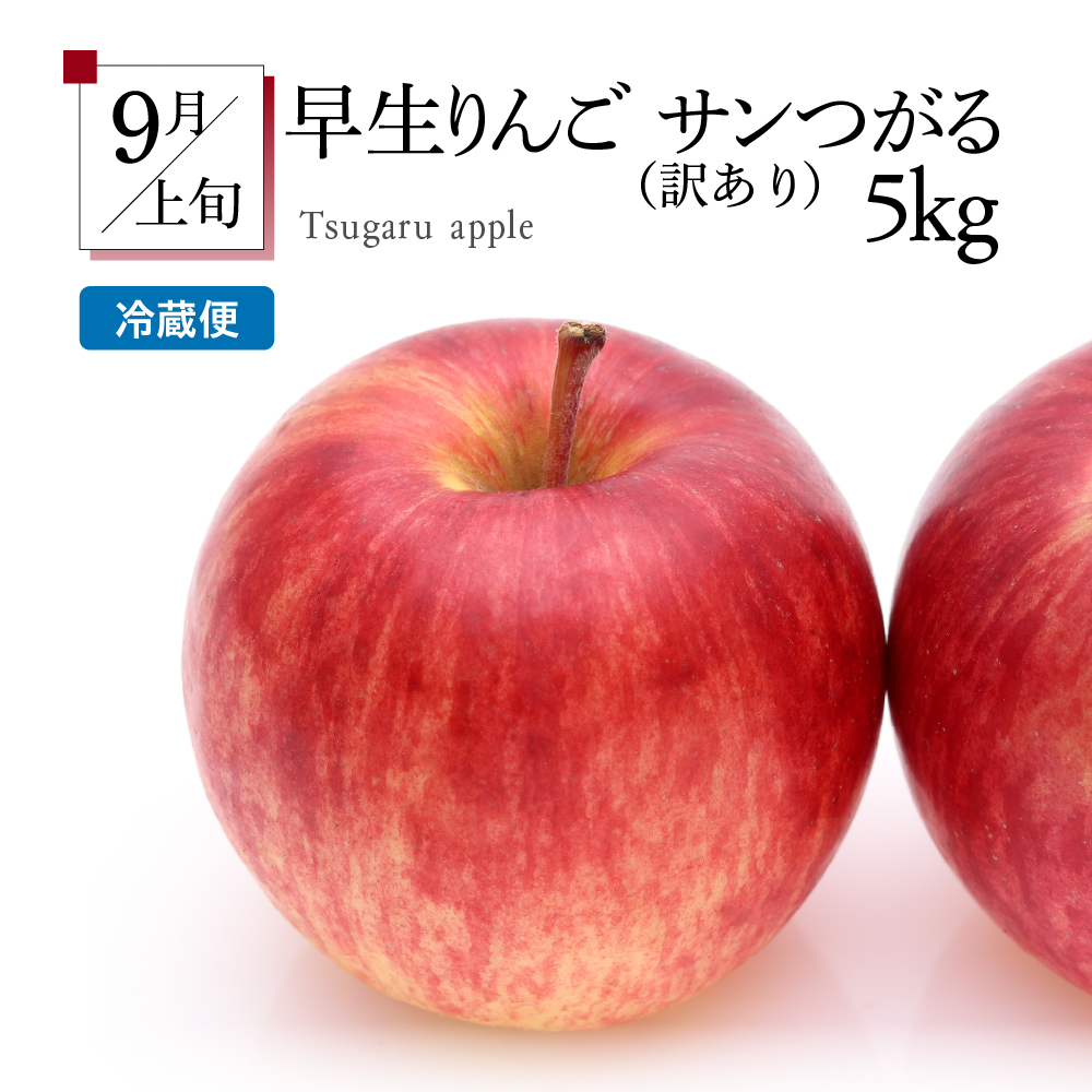 ã7æçºééå§ããã«ãŒãå®æäŸ¿ 5å é£ã¹ããã»ãããèš³ããå«ããã¡ãã³ ã¶ã©ã ãã¹ã«ãã ããã