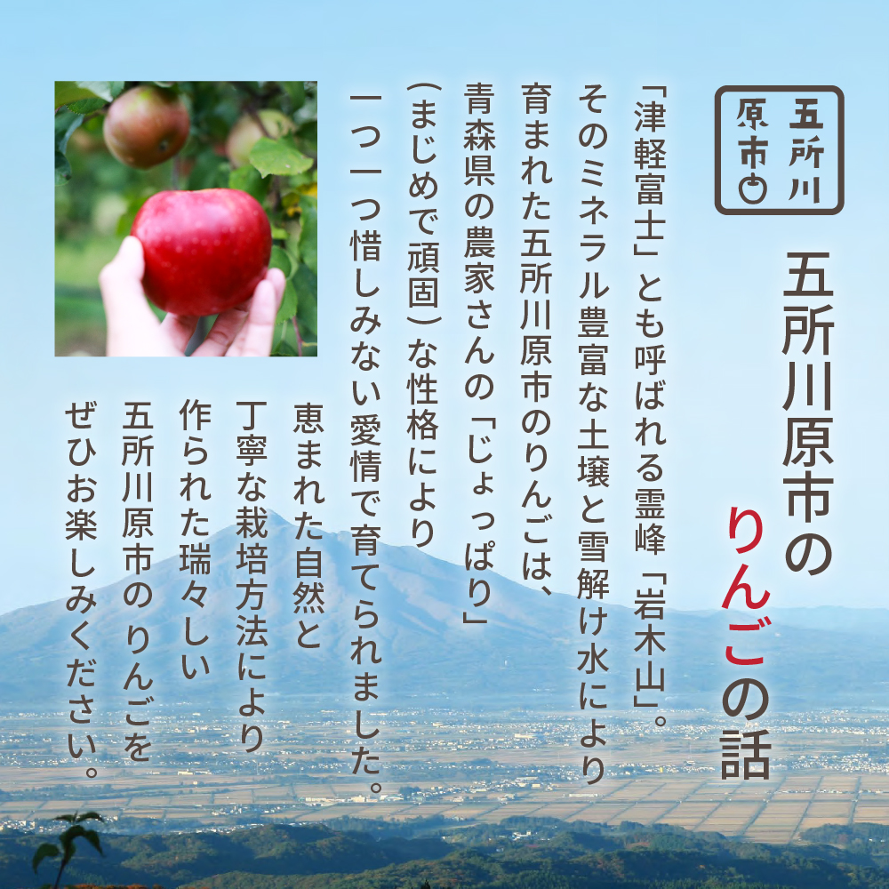 青森県産完熟100％りんごジュース 1L×12本 (6本×2箱) 青森 完熟リンゴ果汁100％ 品種ブレンド