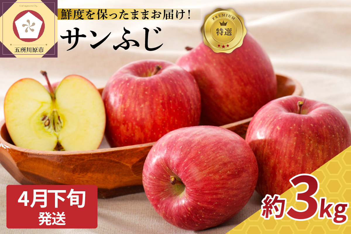 【2026年4月下旬発送】≪特選≫ りんご サンふじ 約3kg 贈答用 （スマートフレッシュTM貯蔵またはCA貯蔵）