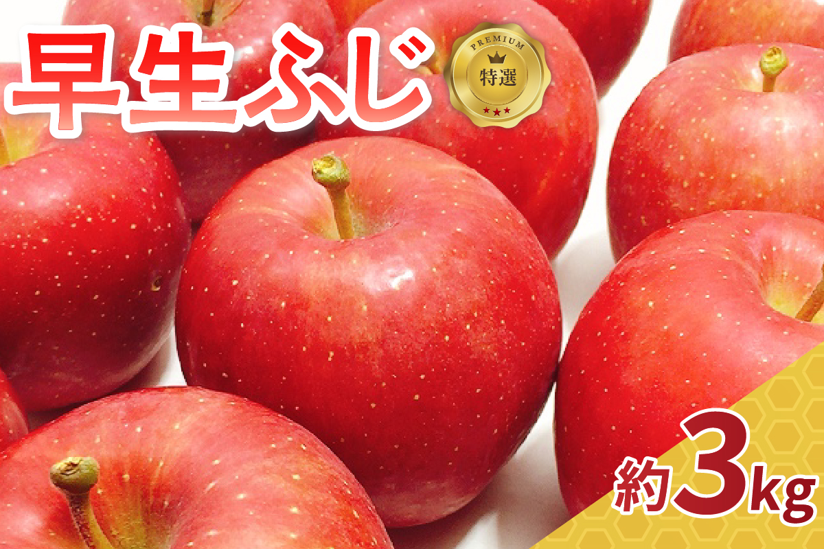 【2026年10月発送】【特選】 りんご 約 3kg 早生ふじ 青森県産