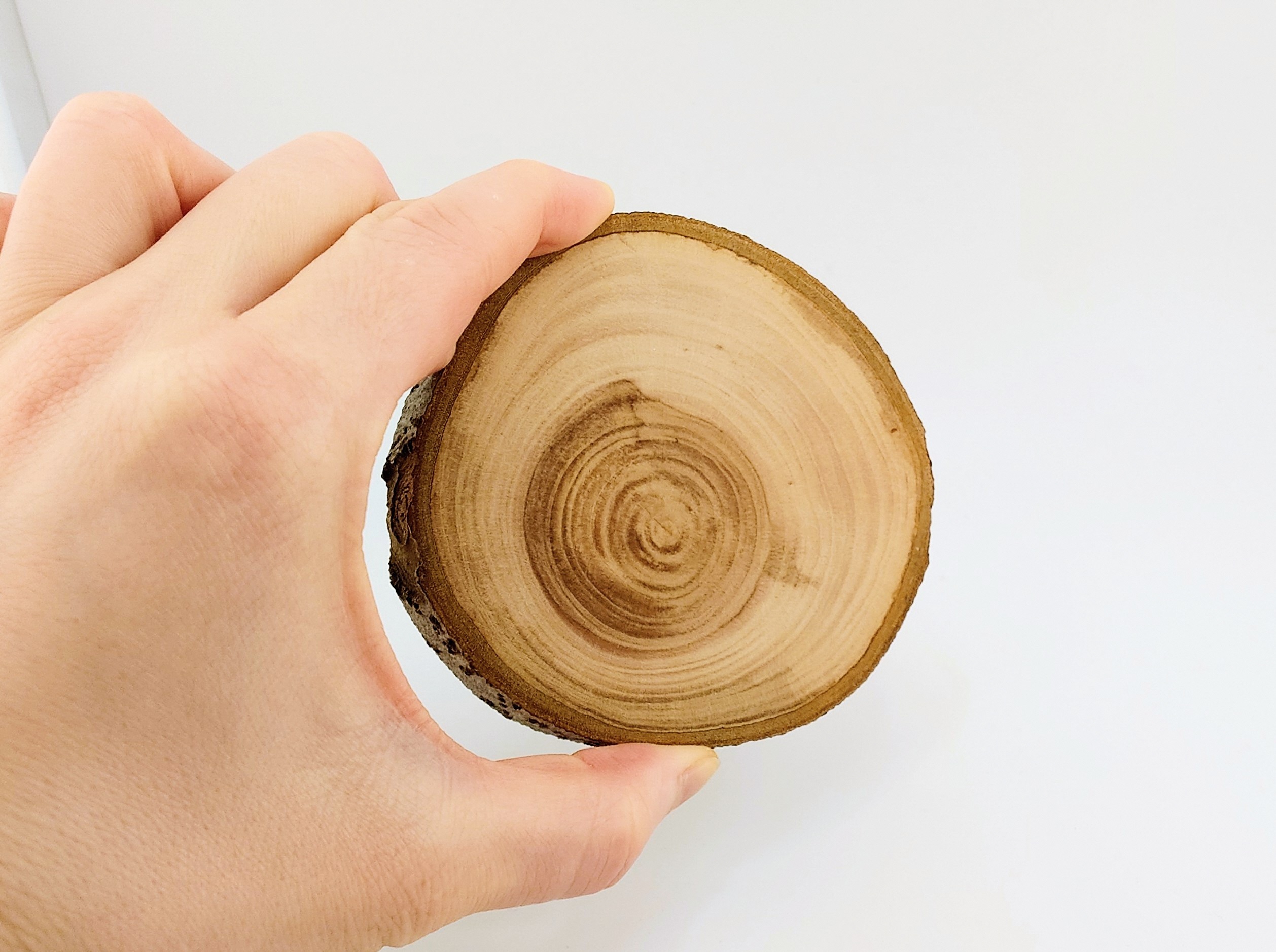 木製コースター りんご 1枚 【特製リンゴ枝コースター】 木で繋がる「きづなコースター」 青森県五所川原市