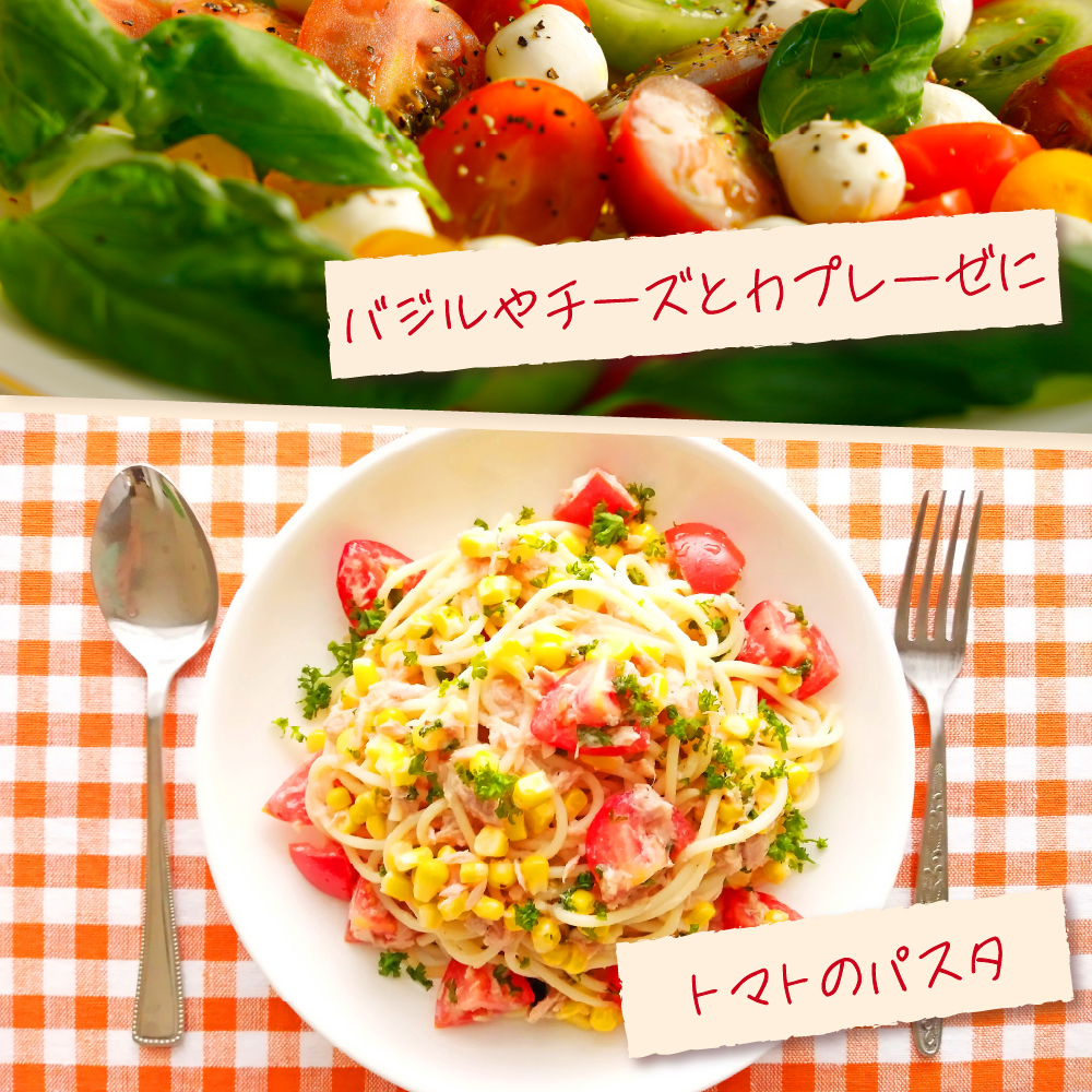 【2026年 先行受付】超薄皮 ミニトマト 約1.7ｋg 「ぷにょぷにょ」 青森 五所川原 トマト 野菜