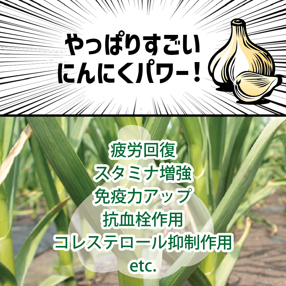 青森県産にんにく ホワイト六片 バラ 500g