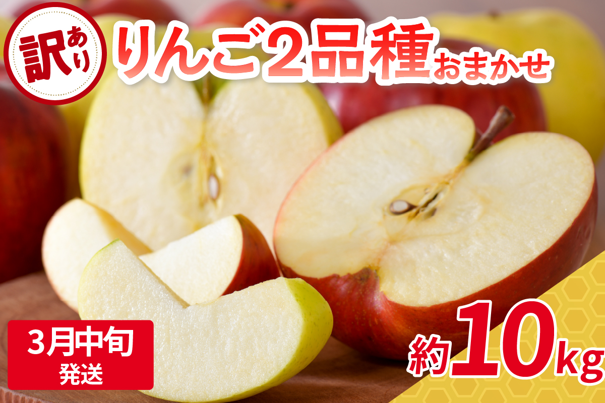 【2026年3月中旬発送】 【訳あり】 旬の美味しい りんご 約10kg 青森産 【おまかせ2品種】