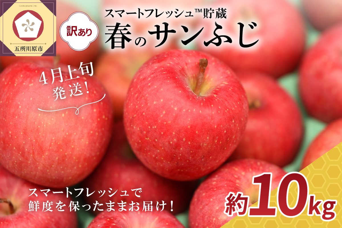 【2026年4月上旬発送】りんご春のサンふじ訳あり10kgスマートフレッシュTM貯蔵またはCA貯蔵