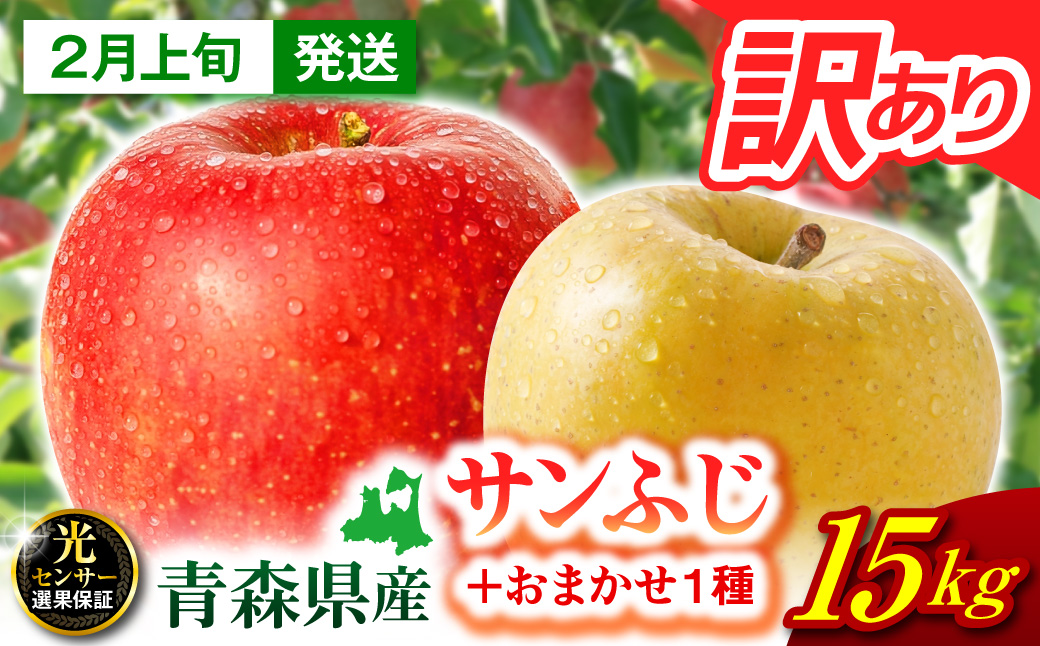 【2027年2月上旬発送】  【訳あり】 りんご 15kg 詰め合わせ 計2種(サンふじ と 他1種) 不揃い フルーツ 家庭用