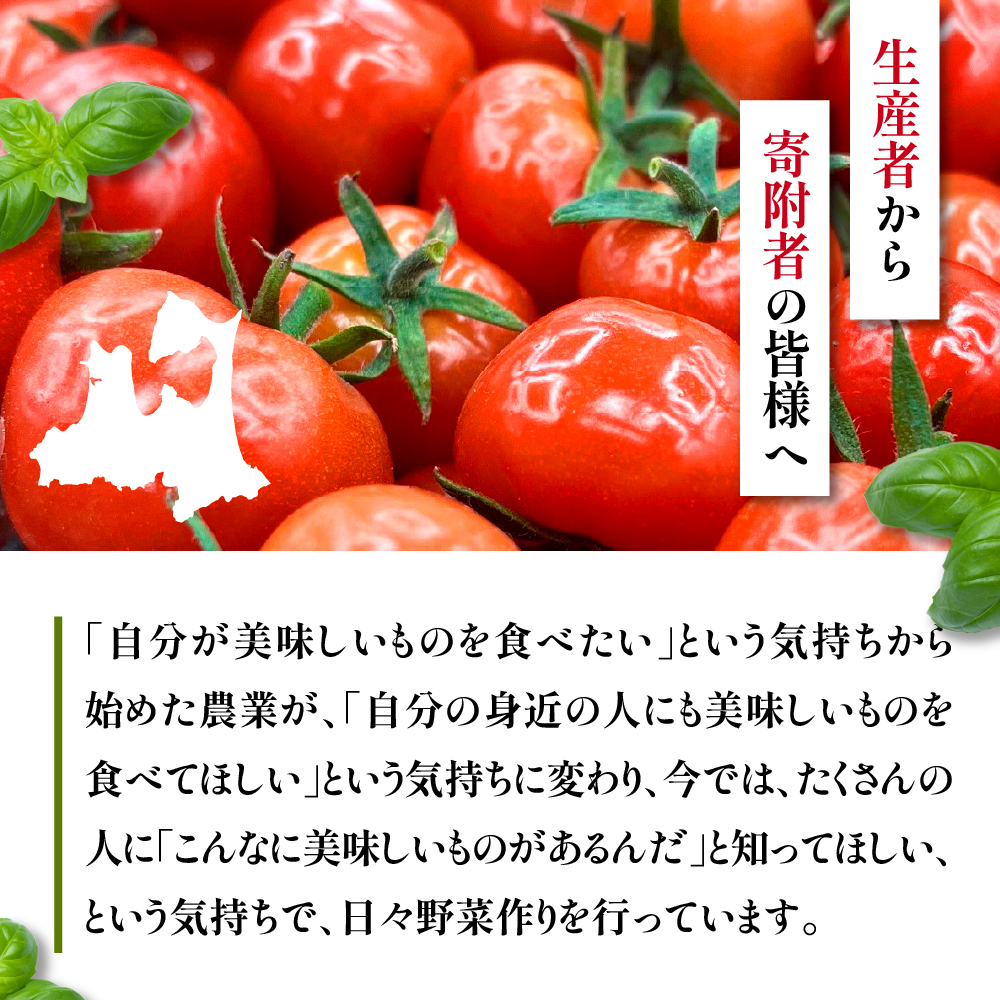 【2026年 先行受付】超薄皮 ミニトマト 約1.7ｋg 「ぷにょぷにょ」 青森 五所川原 トマト 野菜