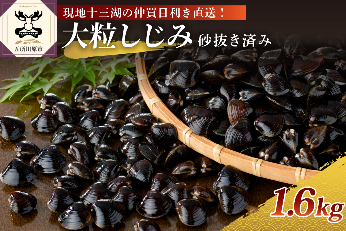 津軽十三湖産 大粒しじみ 1.6kg (冷凍・砂抜き済)青森県 五所川原市
