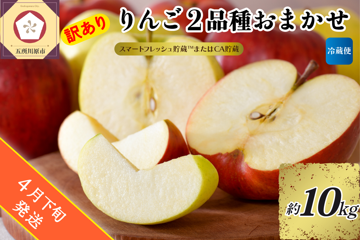 【2026年4月下旬発送】【訳あり】りんご 約10kg 青森産 【おまかせ2品種】【スマートフレッシュ貯蔵またはCA貯蔵・クール便】