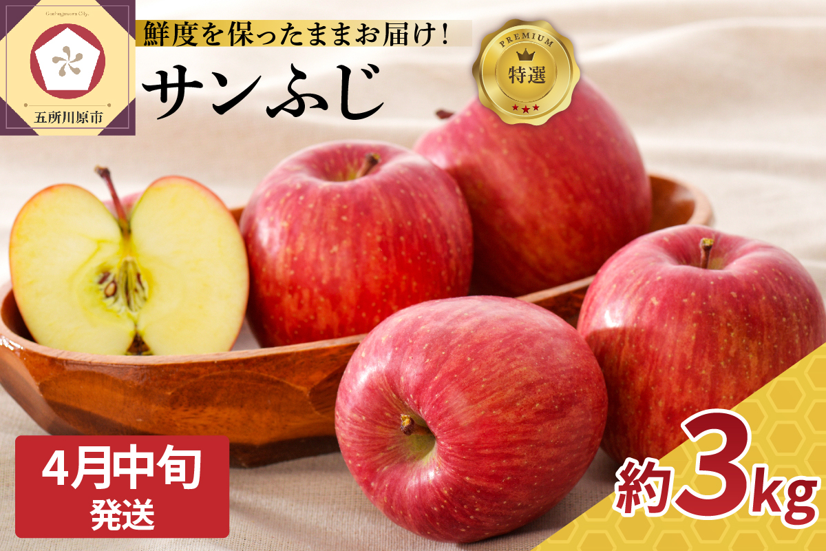 【2026年4月中旬発送】≪特選≫ りんご サンふじ 約3kg 贈答用 （スマートフレッシュTM貯蔵またはCA貯蔵）