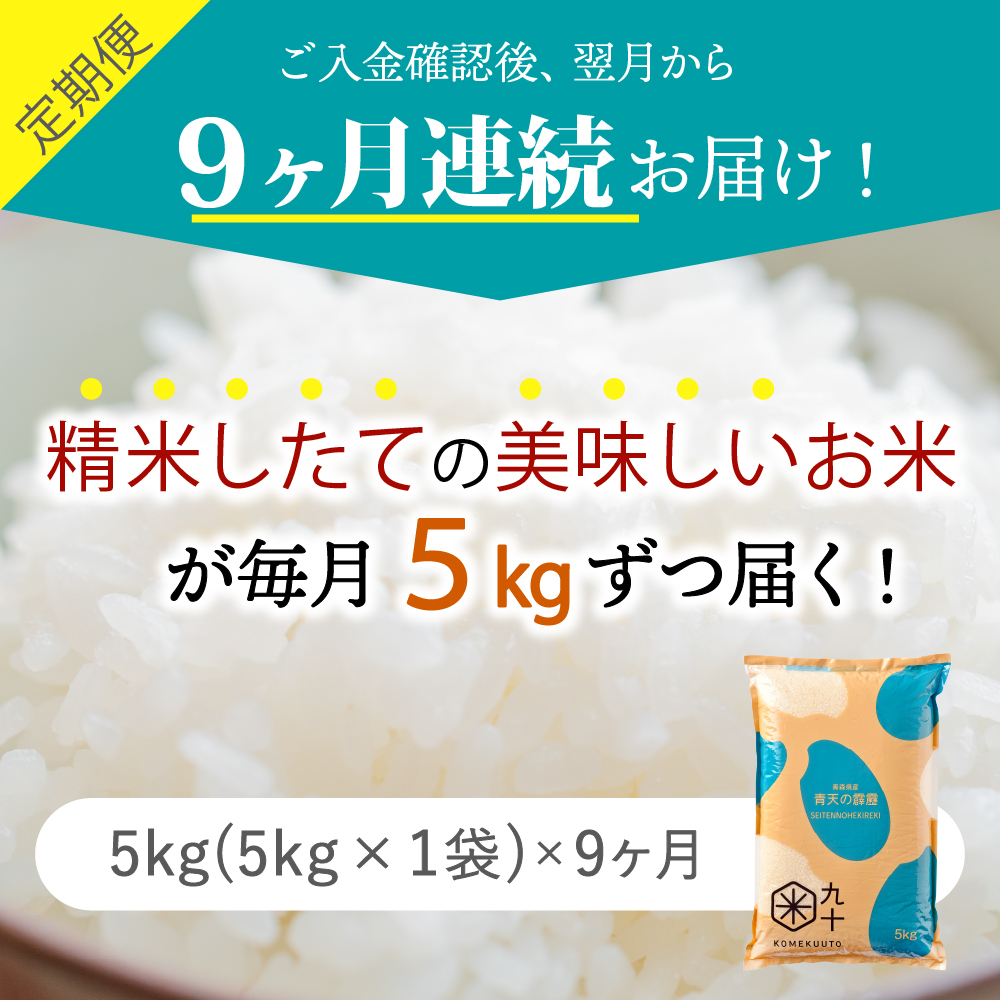 【定期便9ヶ月】 米 青天の霹靂 5kg 青森県産 (5kg×9回・精米)