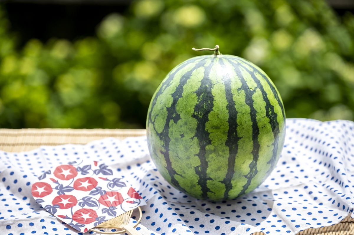 ã¹ã€ã« ã2026幎7æåŸåçºéã 鿣®çç£ 1ç 倧ç ç§å å
è¡äºçŽ è¥¿ç 7æ