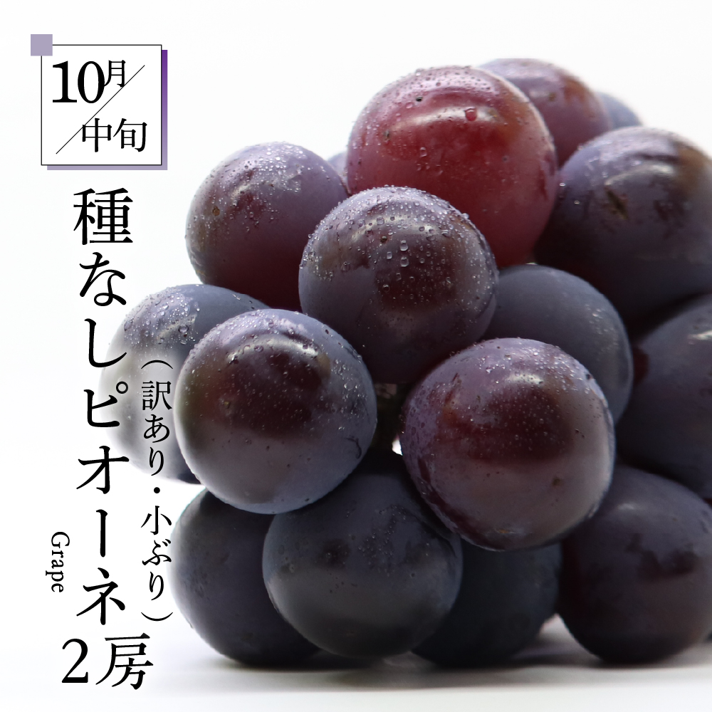 ã7æçºééå§ããã«ãŒãå®æäŸ¿ 5å ããã°ãã»ãããèš³ãããã¡ãã³ ã¶ã©ã ãã¹ã«ãã ããã