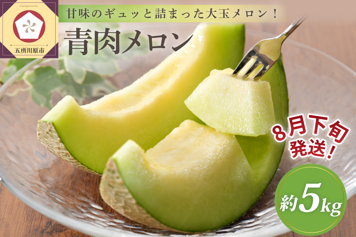 【2026年8月下旬発送】メロン 青肉 約5kg (3～6玉) 家庭用 津軽産