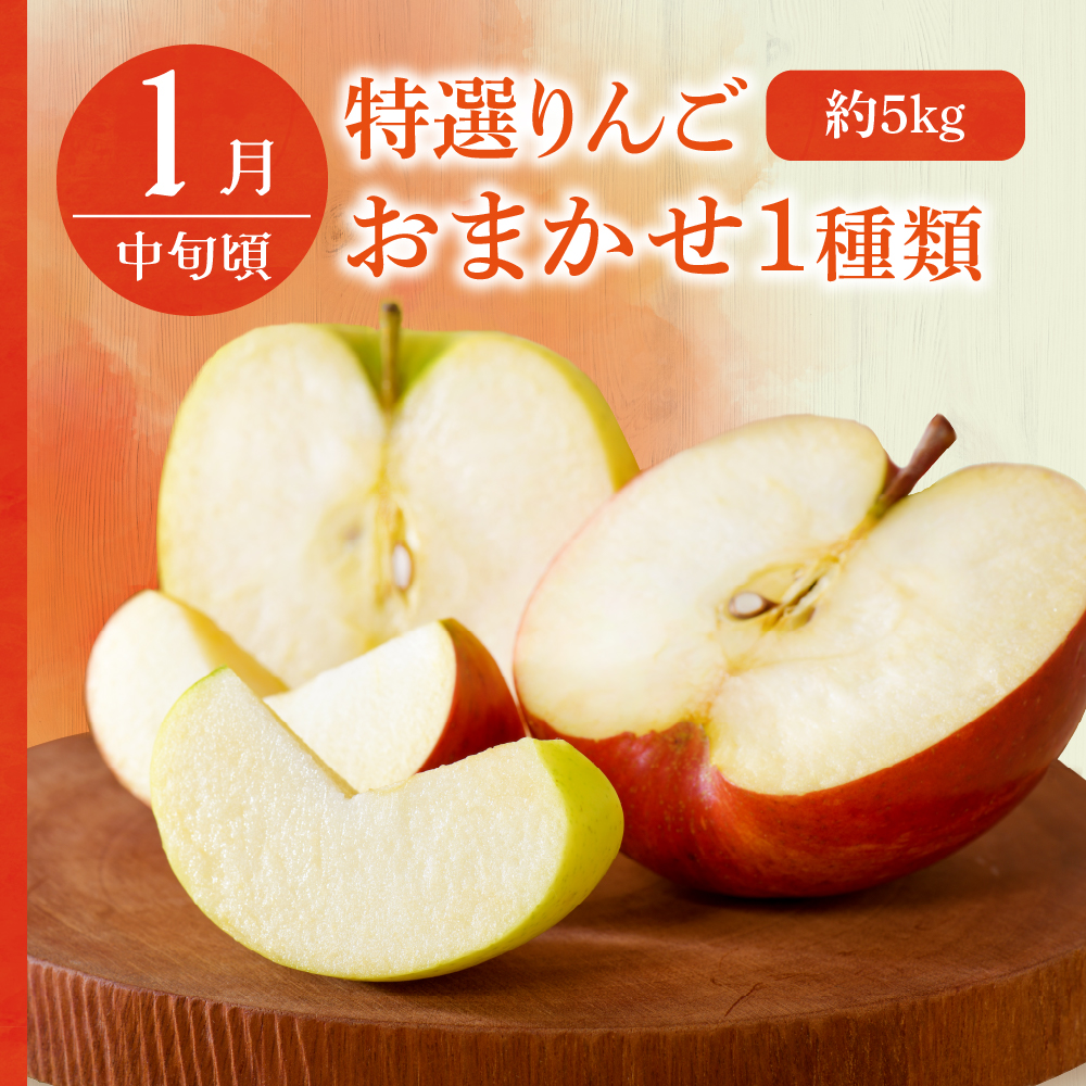 【7月発送開始】おいしい3種類 ☆ フルーツ定期便 【3回】 りんごジュース メロン りんご