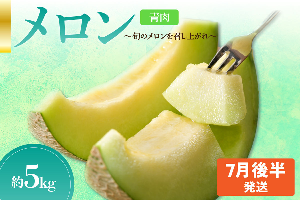 先行予約【2026年7月後半発送】【秀～優品】津軽平野のメロン 約5kg程度(青肉)【青森メロン】