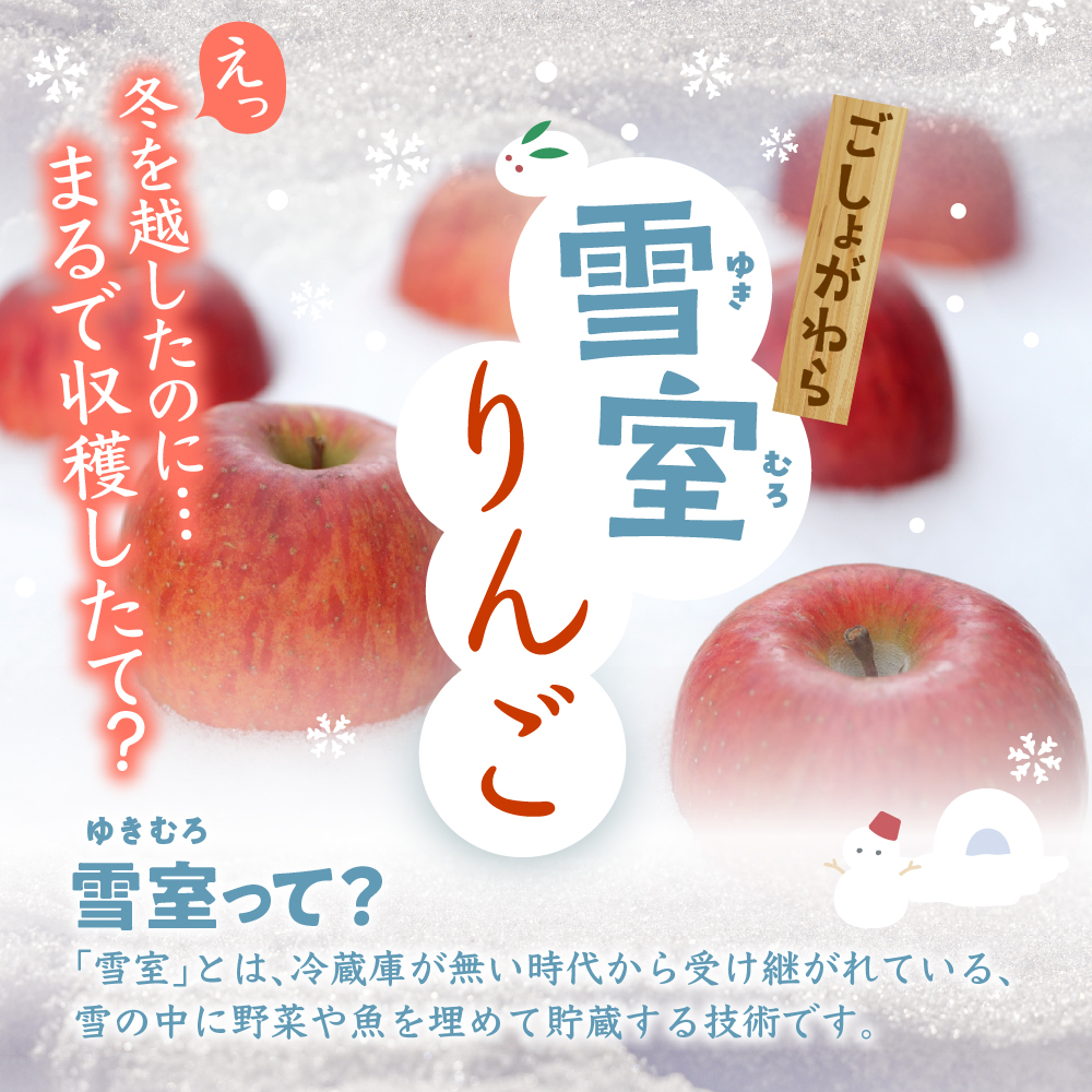 縲先焚驥城剞螳壹 髮ェ螳、繧翫s縺 繧オ繝ウ縺オ縺 邏2kg縲2026蟷エ3譛磯谺。逋コ騾√ 髱呈」ョ 繧翫s縺 繝ェ繝ウ繧エ 譫玲ェ 2繧ュ繝ュ 雍育ュ 縺オ縺倥j繧薙# 莠疲園蟾晏次