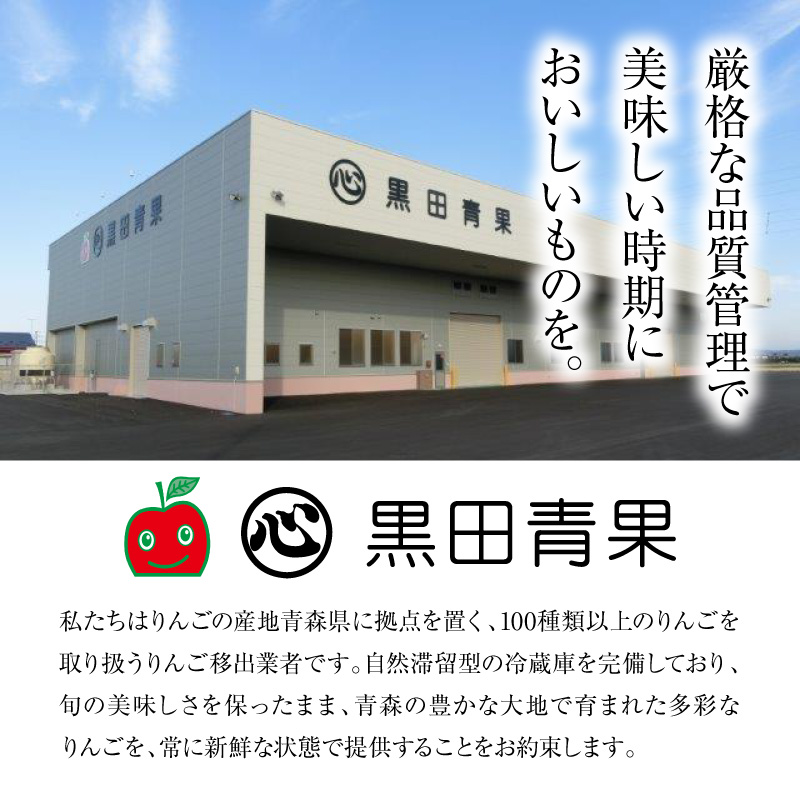 【2026年12月後半発送】【訳あり】 りんご 約10kg サンふじ 葉とらず 青森産