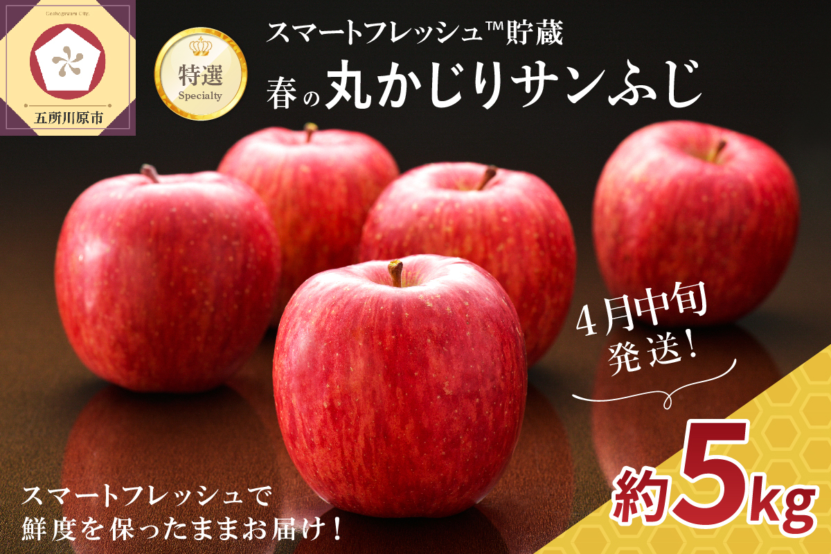 【2025年4月中旬発送】≪特選≫ 春の丸かじりサンふじ りんご 約5kg スマートフレッシュTM貯蔵 贈答用 青森県産