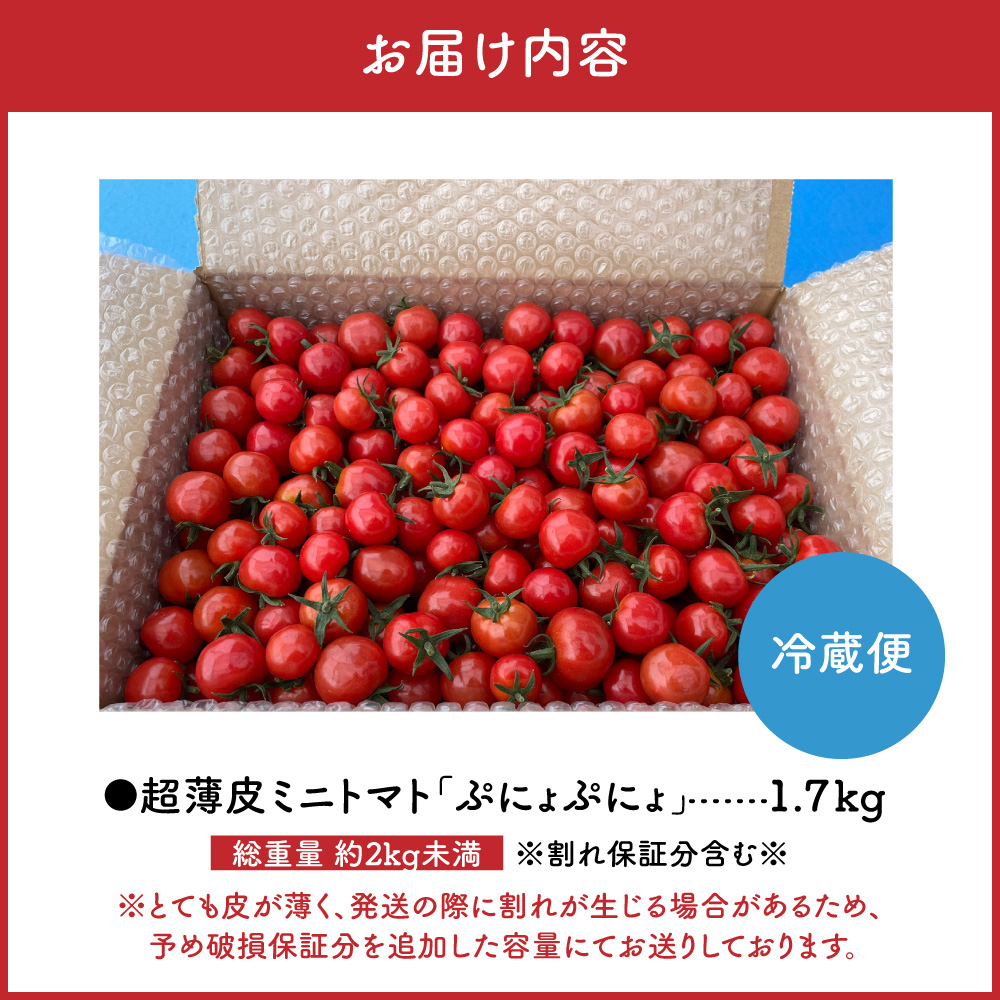 【2026年 先行受付】超薄皮 ミニトマト 約1.7ｋg 「ぷにょぷにょ」 青森 五所川原 トマト 野菜