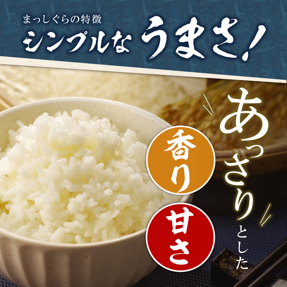 【定期便隔月6回】令和7年産 米 10kg まっしぐら 青森県産  （精米・5kg×2）