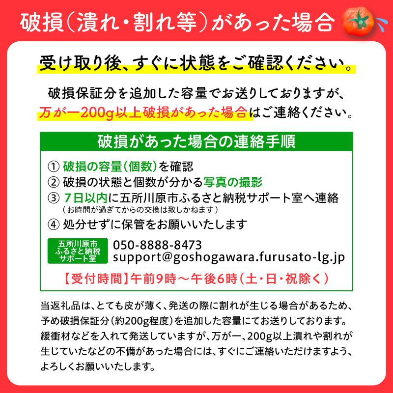【2026年 先行受付】超薄皮 ミニトマト 約1.7ｋg 「ぷにょぷにょ」 青森 五所川原 トマト 野菜