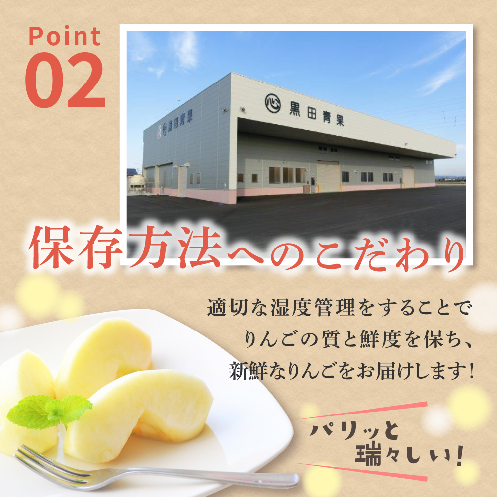 【2026年1月前半発送】【訳あり】 りんご 約10kg サンふじ 葉とらず 青森産