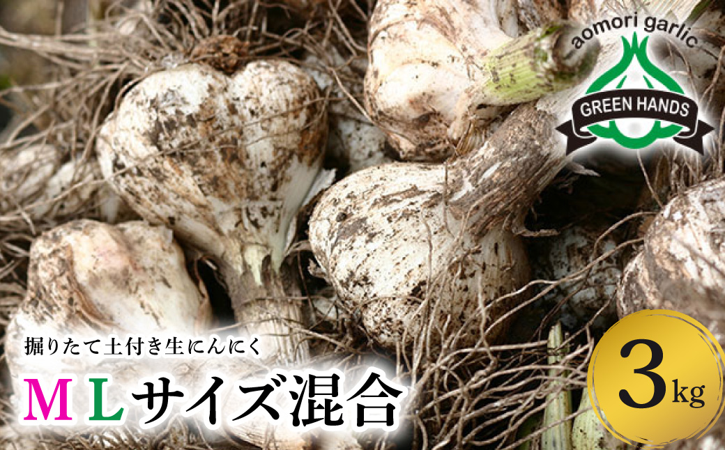 【2026年6月下旬発送開始】掘りたて 生 にんにく 青森県産 Ｍ Ｌサイズ混合 3kg （土つき）【 ガーリック ニンニク 大蒜 五所川原 生にんにく 】