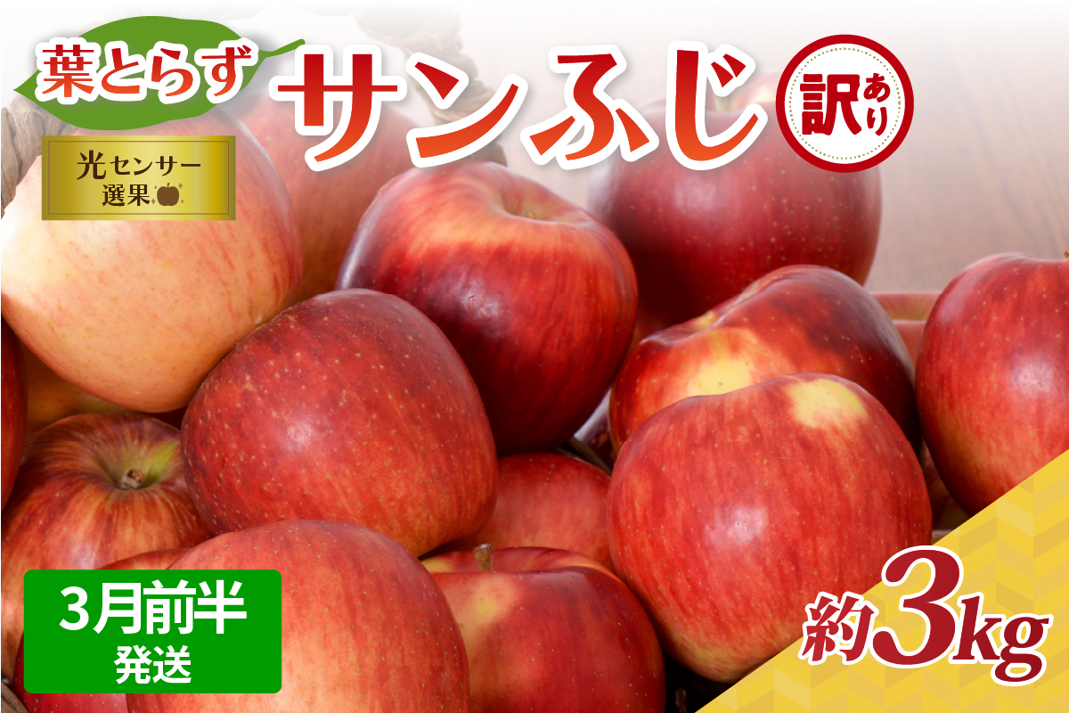 【2026年3月前半発送】【訳あり】青森県産葉とらずサンふじりんご約3kg