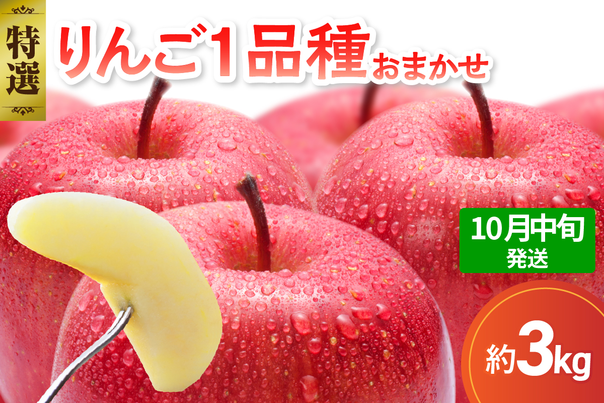 【2026年10月中旬発送】【特選】 旬の美味しい りんご 約3kg 青森産 【おまかせ1品種】