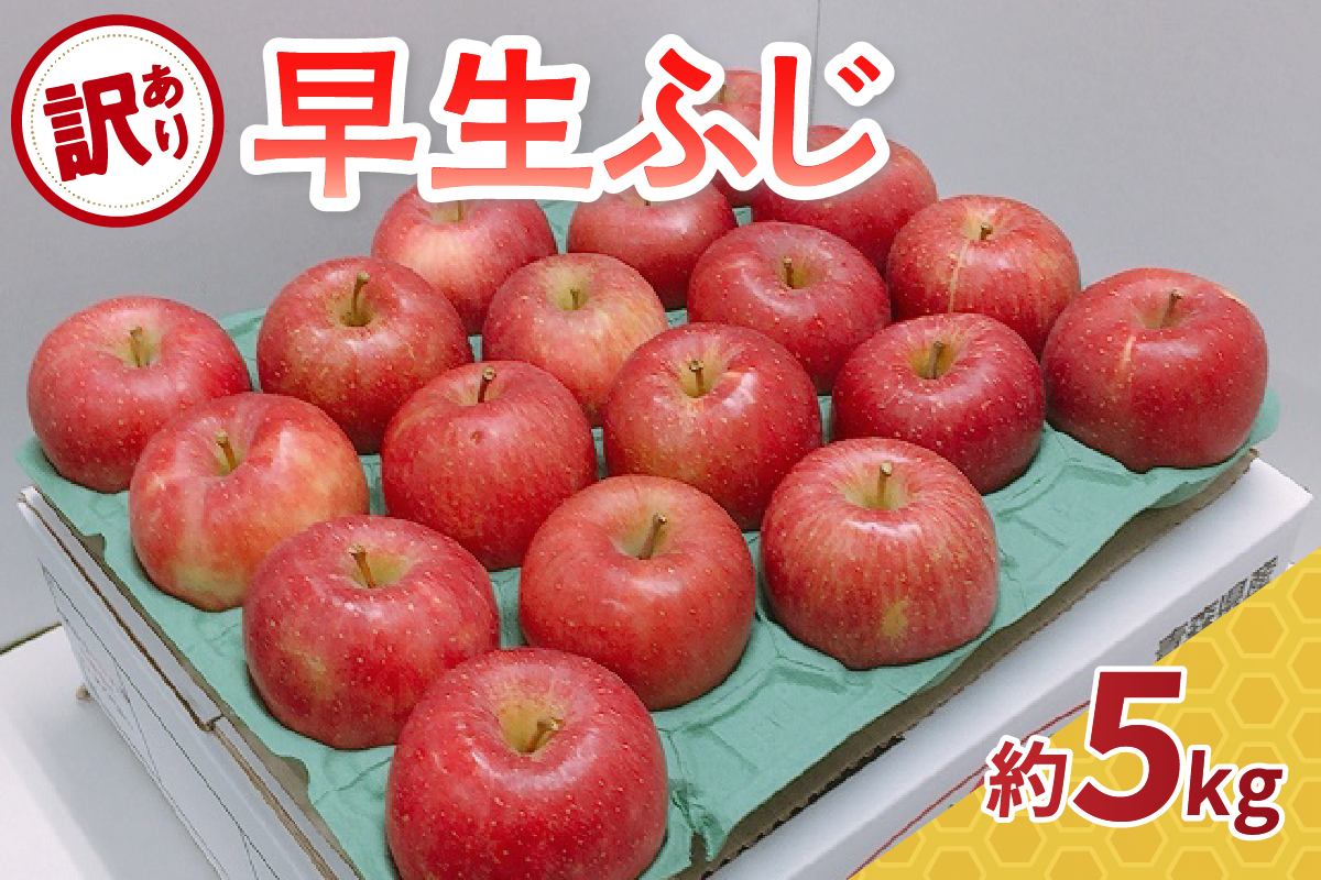 【2026年10月発送】【訳あり】 りんご 約5kg 早生ふじ 青森県産