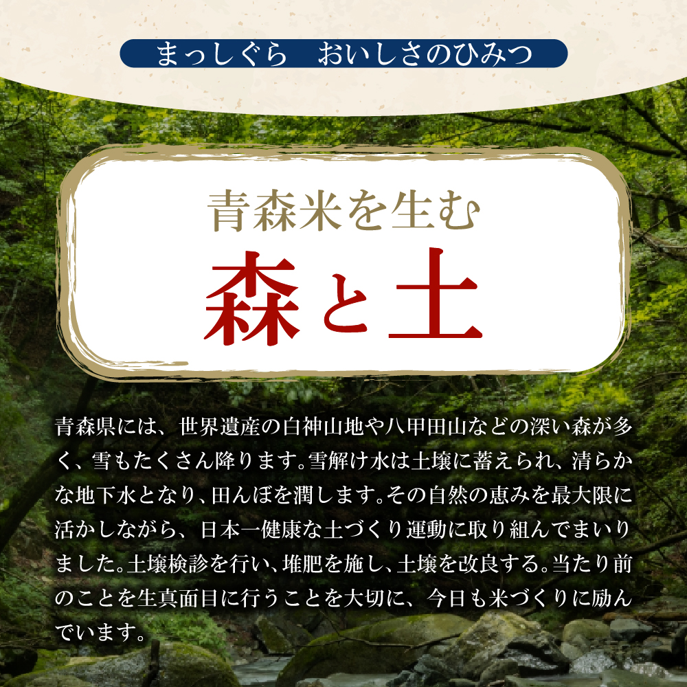 【定期便隔月3回】令和7年産 米 10kg まっしぐら 青森県産  （精米・5kg×2）