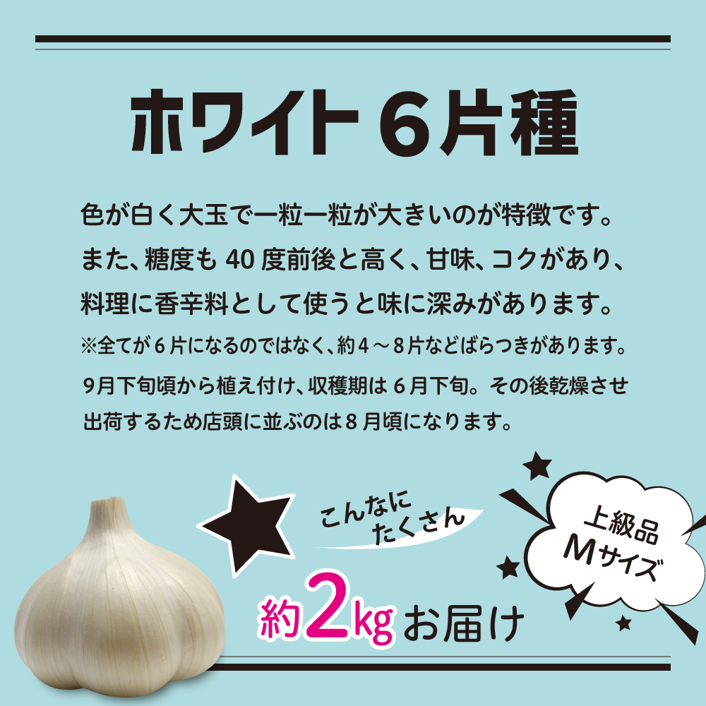 青森県産にんにく（上級品）Mサイズ 2kg