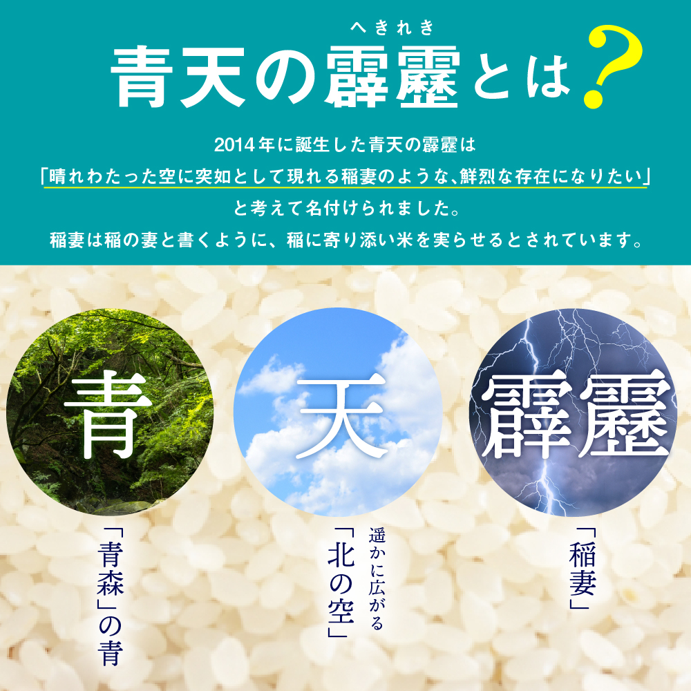 縲仙ョ壽悄萓ソ6繝カ譛医 莉、蜥7蟷エ逕」 邀ウ 髱貞、ゥ縺ョ髴ケ髱 10kg 髱呈」ョ逵檎肇 (邊セ邀ウ繝サ5kgテ2)