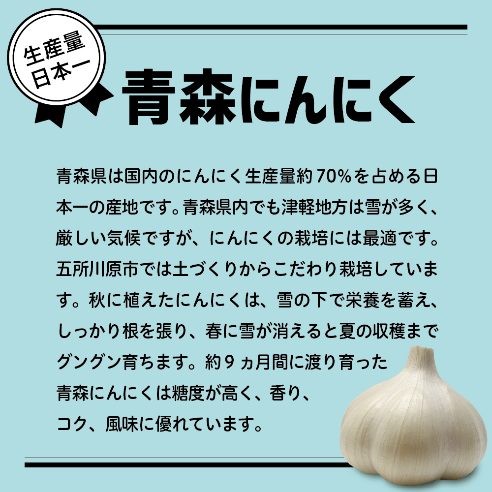【訳あり】青森県産にんにく3kg（1kg×3）青森にんにく 五所川原市
