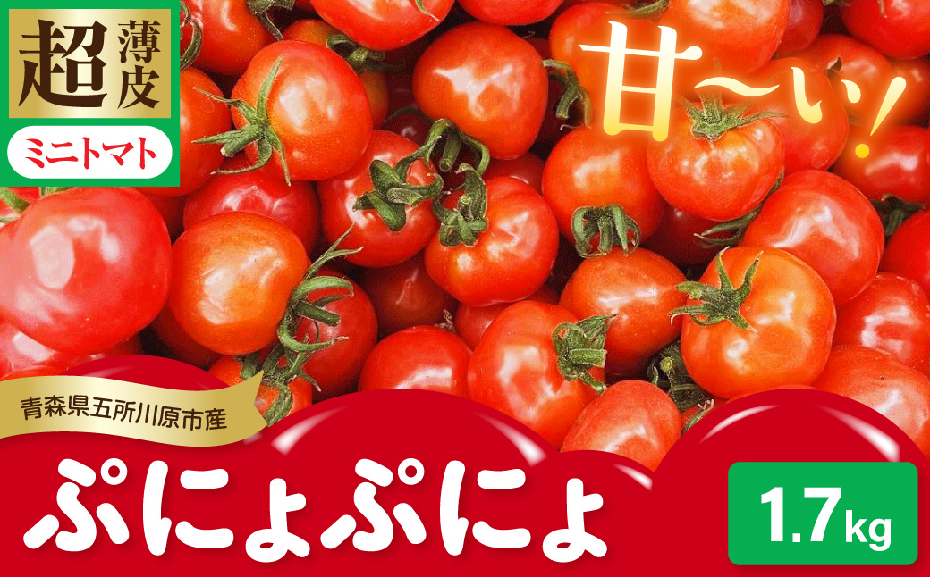 【2026年 先行受付】超薄皮 ミニトマト 約1.7ｋg 「ぷにょぷにょ」 青森 五所川原 トマト 野菜
