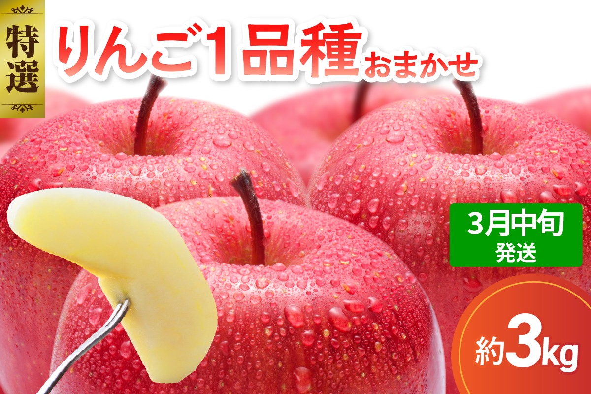 【2027年3月中旬発送】【特選】 旬の美味しい りんご 約3kg 青森産 【おまかせ1品種】