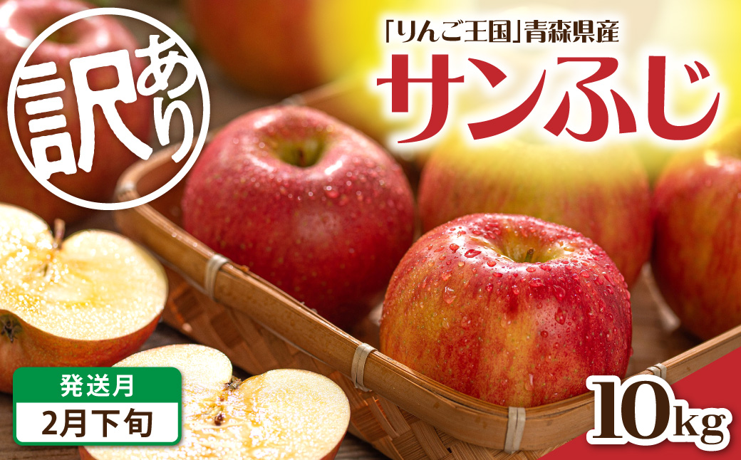 【2027年2月下旬発送】 【訳あり】 りんご 約10kg サンふじ 青森産