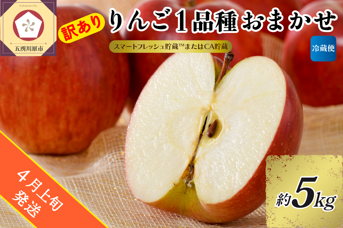 【2026年4月上旬発送】【訳あり】りんご 約5kg 青森産 【おまかせ1品種】【スマートフレッシュ貯蔵またはCA貯蔵・クール便】