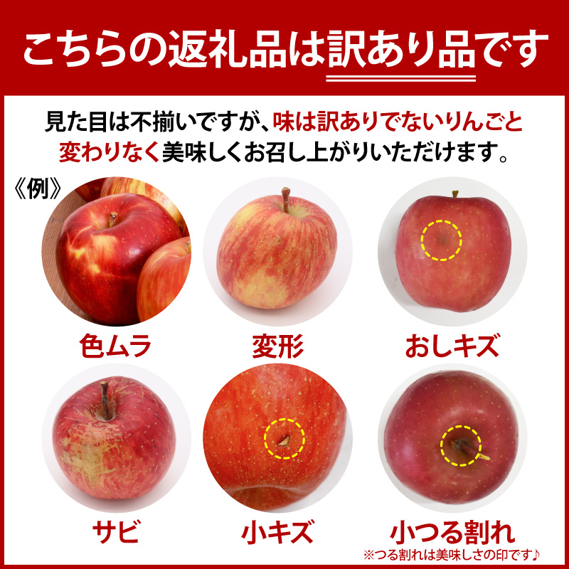 【2026年11月後半発送】【訳あり】 りんご 約10kg サンふじ 葉とらず 青森産