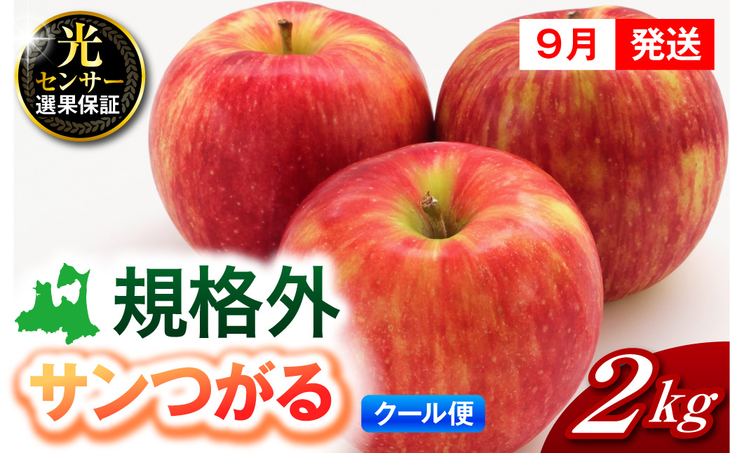 【2026年9月発送】【規格外】 りんご 2kg サンつがる 光センサー選果保証 青森県産 【クール便】