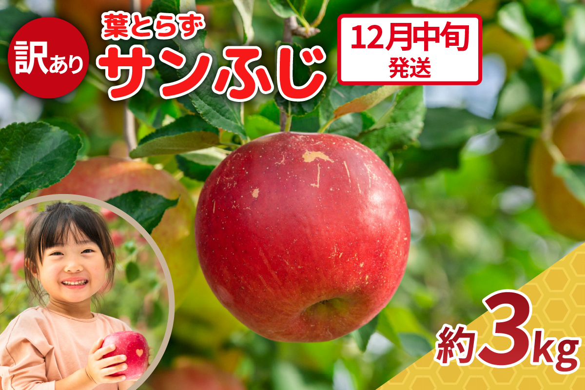 【2026年12月中旬発送】りんご 3kg 程度 葉とらず サンふじ 訳あり