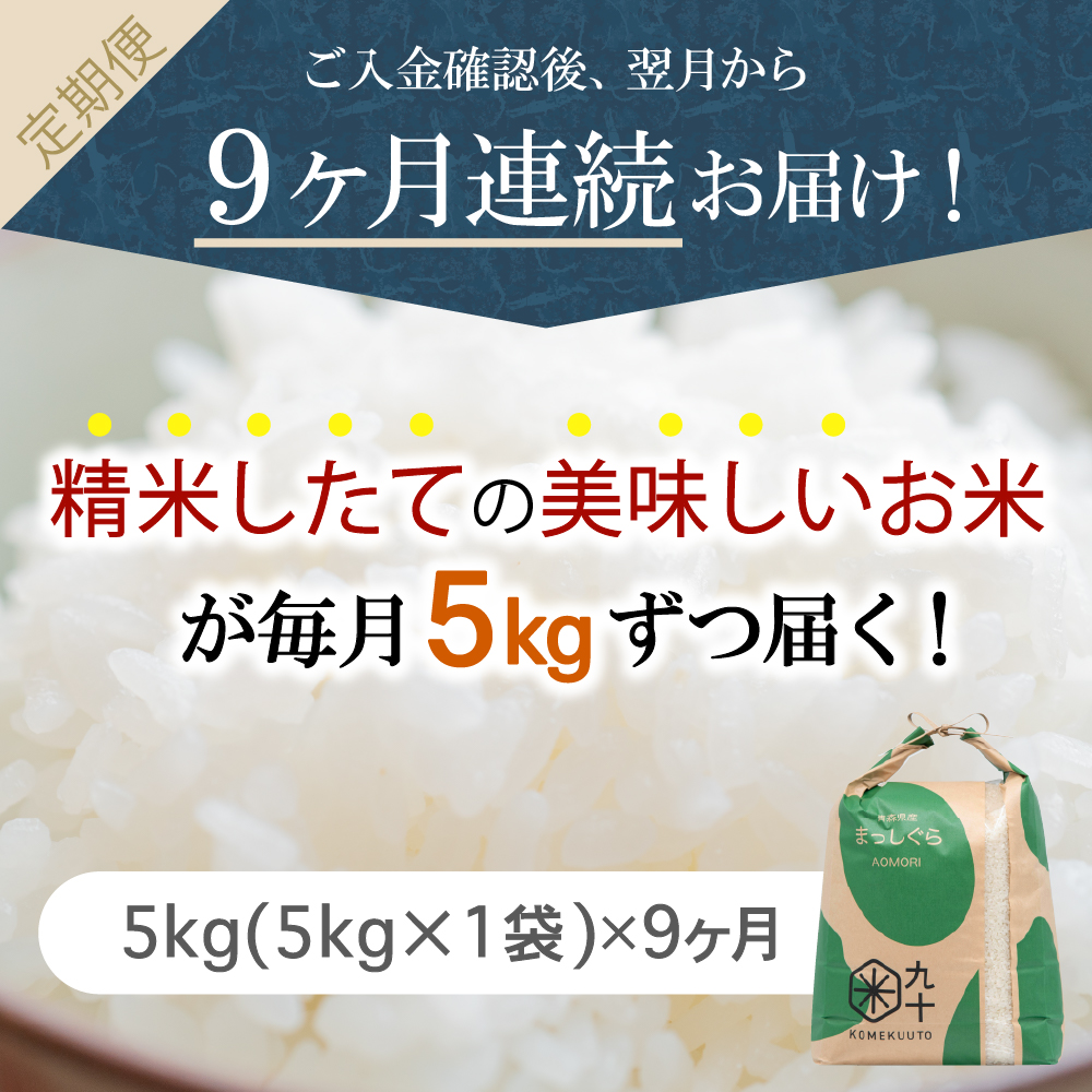 縲仙ョ壽悄萓ソ9繝カ譛医台サ、蜥7蟷エ逕」 邀ウ 5kg 縺セ縺」縺励$繧 髱呈」ョ逵檎肇 シ育イセ邀ウシ