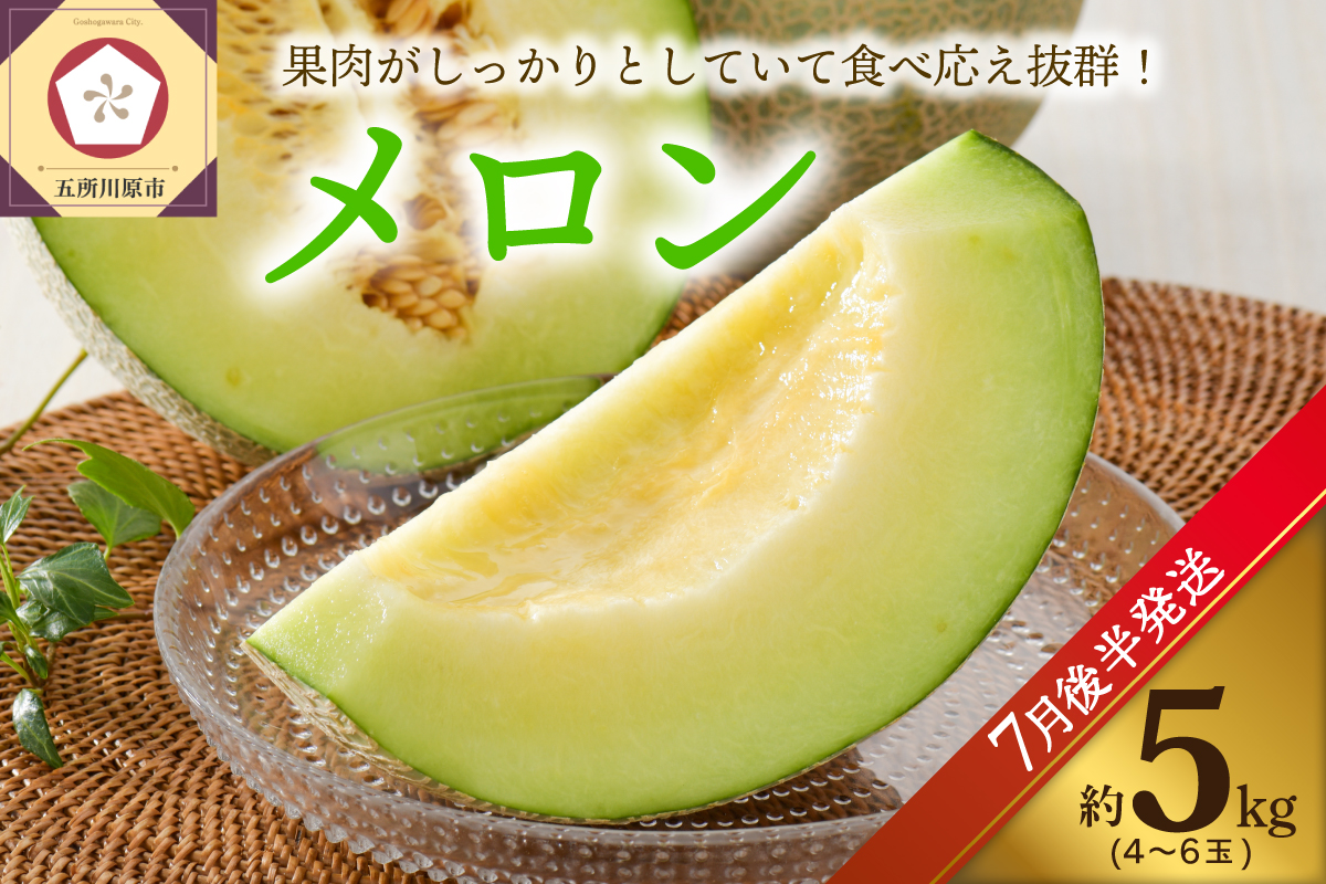 ã2026幎7æåŸåçºéã ã¡ãã³ éè 5kgçšåºŠ (4ïœ6ç)